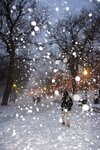 tormenta-de-la-nieve-de-boston-3842892.jpg