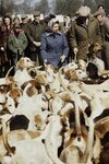 Eli with a pack of hounds at the Badminton Horse Trials,1978 (2).jpg