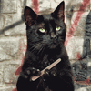 gato negro limándose las uñas.gif