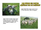 las-ovejas-del-pastor-2-728.jpg