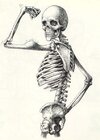 esqueletohumor.jpg