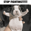 37604-stop-fighting.png