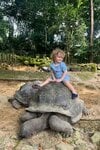 prince-alexandre-georgievitch-tortue-geante-seychelles.jpg