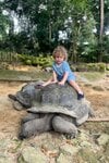 tortue-geante-des-seychelles-prince-alexandre-georgievitch.jpg