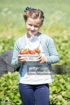 gettyimages-476113794-612x612.jpg