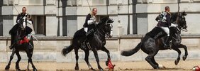 a-soldier-from-the-blues-and-royals-does-well-to-atop-his-horse-after-JWJ0NJ.jpg