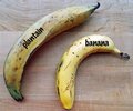 plantain-vs-banana.jpg