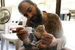 Un combattant de l\'Armée syrienne libre nourrit un chaton à Alep..jpg
