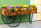 flower-cart-58418_1280.jpg