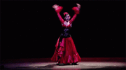 flamenco.gif