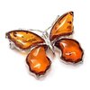 broche-alfiler-plata-ley-925m-motivo-mariposa-ambar-ab5617-.jpg