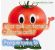 tomate-1801191930.jpg